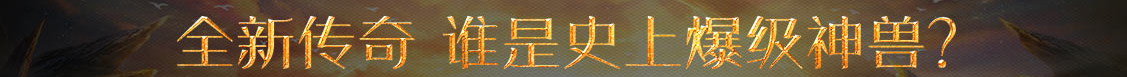 武汉市新闻网